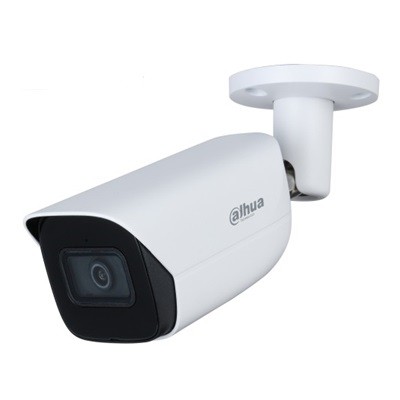 DH-IPC-HFW3541EP-AS-0600B-S2