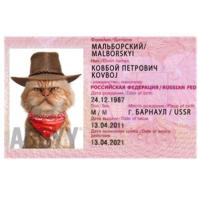 Локальная лицензия ABBYY с производительностью 3 000 страниц в месяц 