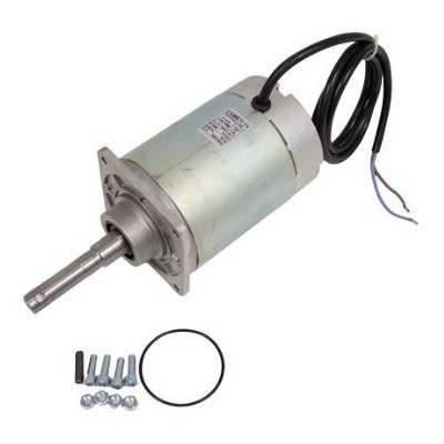 Электродвигатель G3000 (119RIG405)