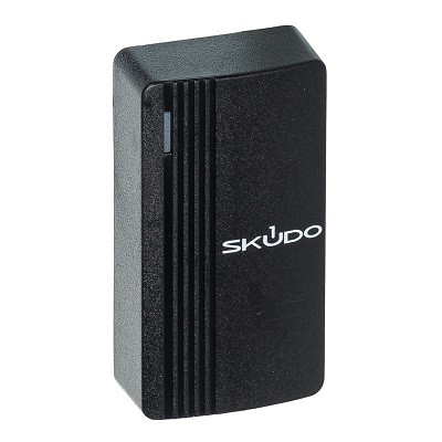 SK-RP100E (черный)