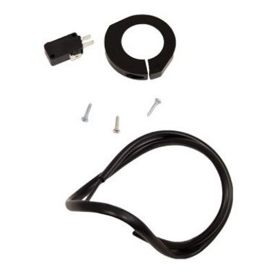 Микровыкл. FERNI в сборе (119RID093)