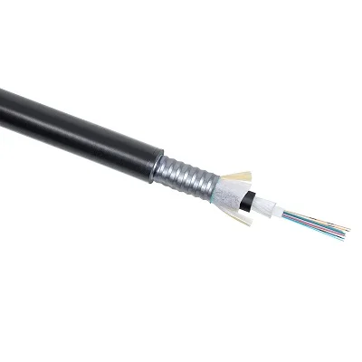 CLT-A-6-01X24-Z-PE-ARM-PE-DD-OUT-40