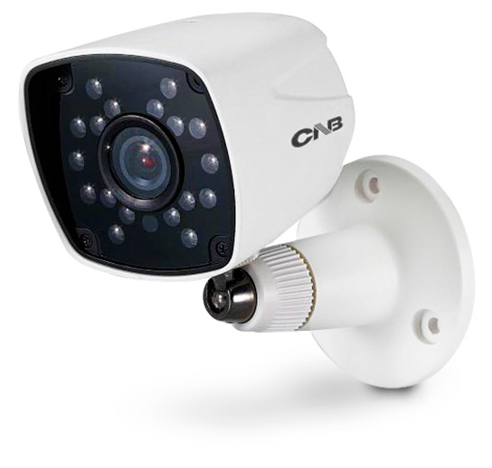 reduced-prices-ip-cameras-rvi
